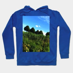 Sunshine meadow with adorable 4 queued trees Hoodie